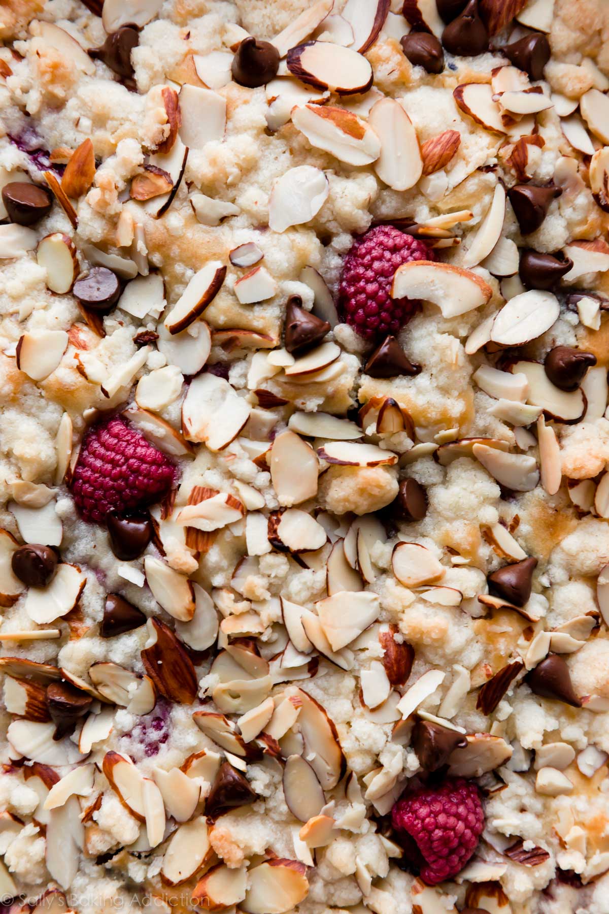 dark chocolate raspberry coffee cake top