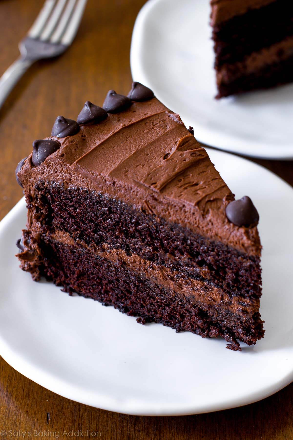 slice of chocolate cake on a white plate.