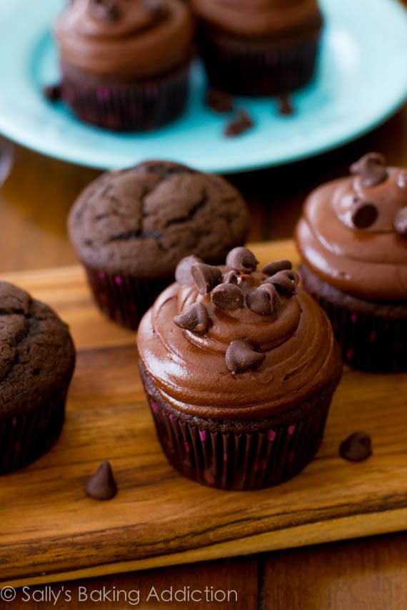 chocolate cupcakes topped with dark chocolate frosting and chocolate chips on a wood board