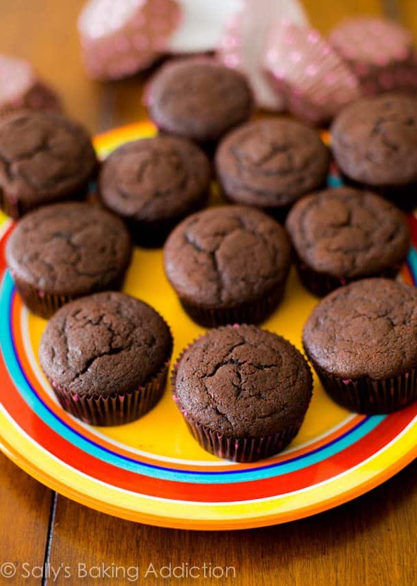 chocolate cupcakes on a colorful serving plate