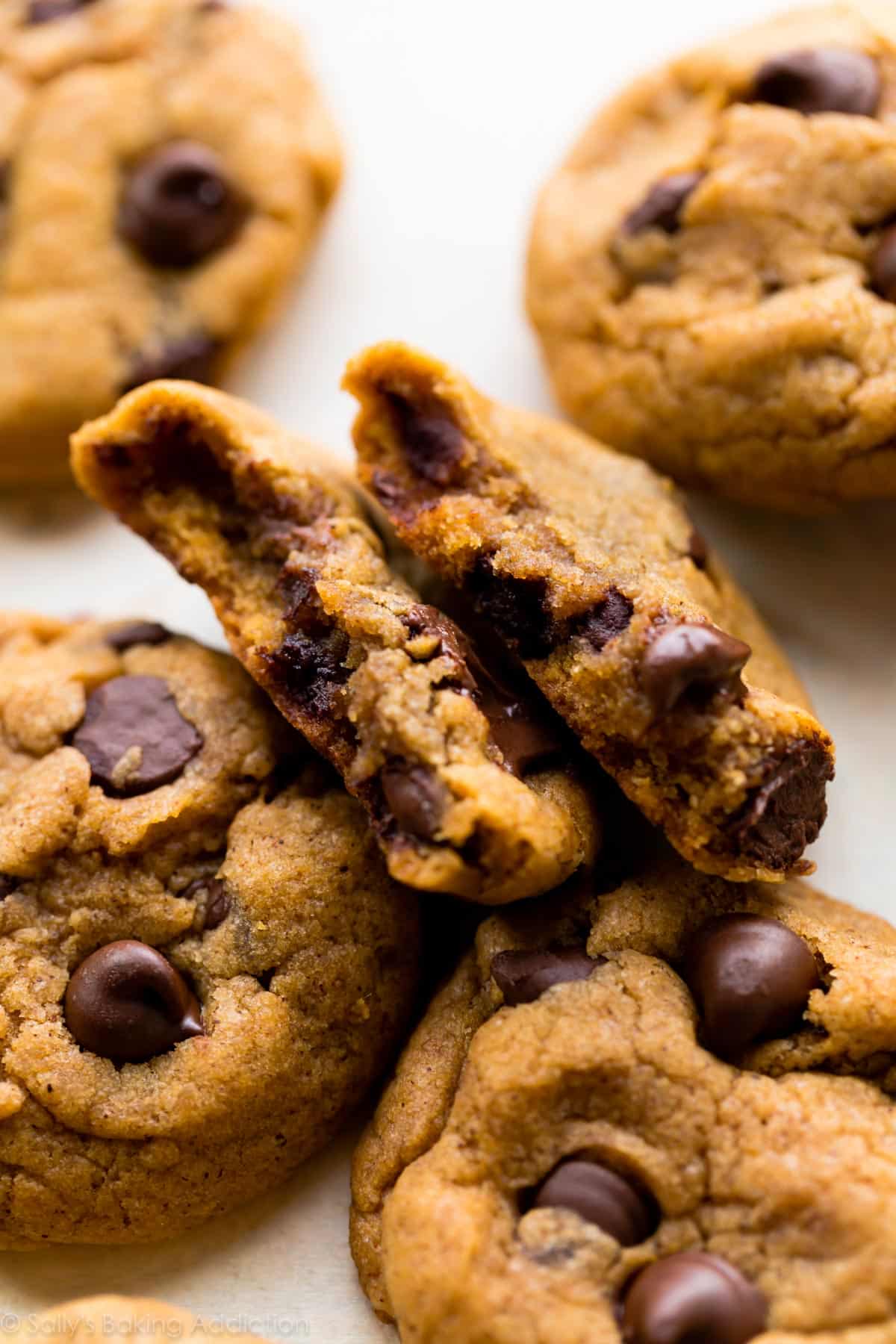 pumpkin chocolate chip cookies