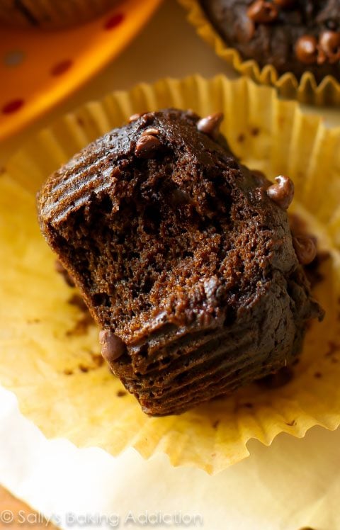 chocolate pumpkin spice muffin with a bite taken from it