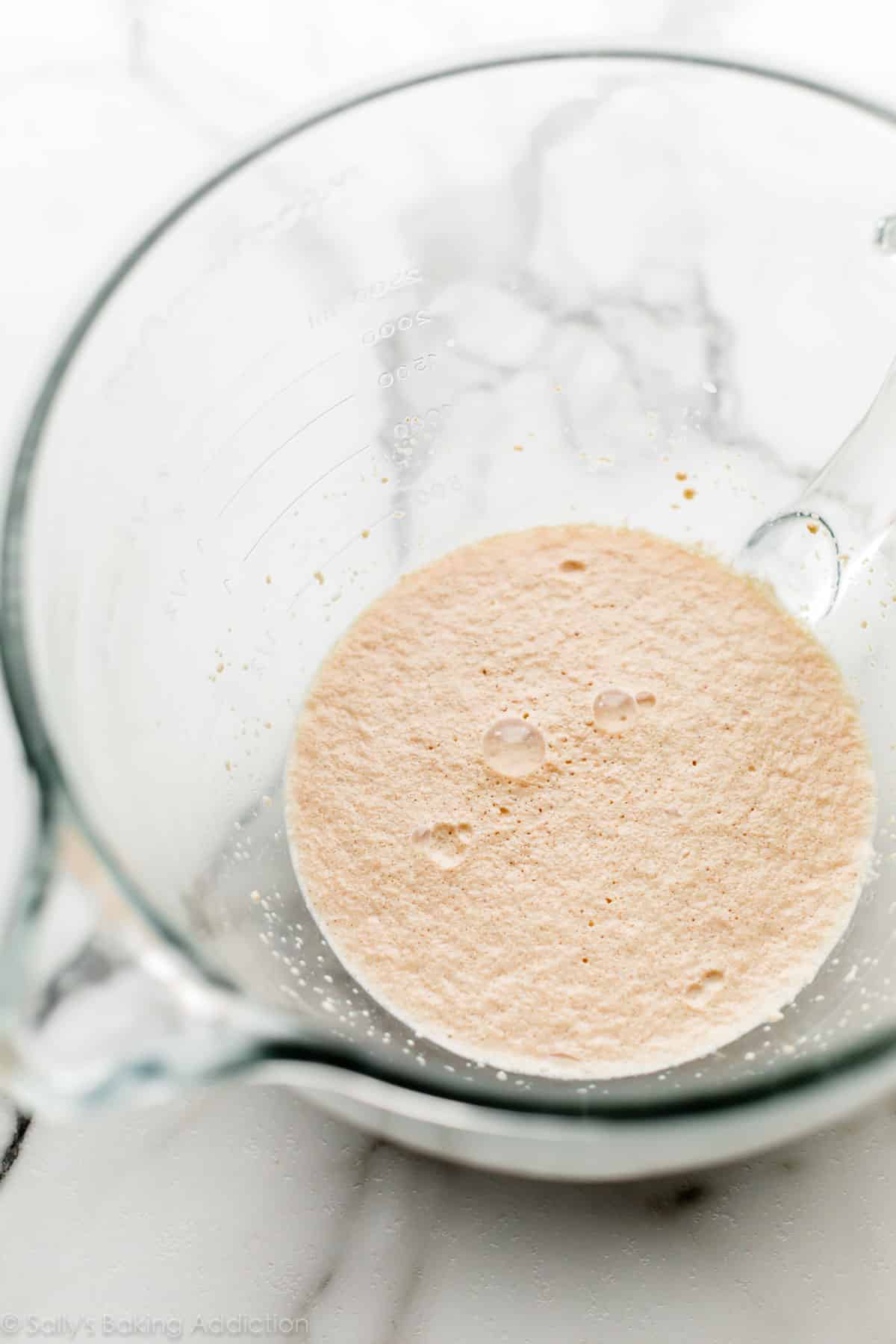 foamy yeast mixture in glass bowl