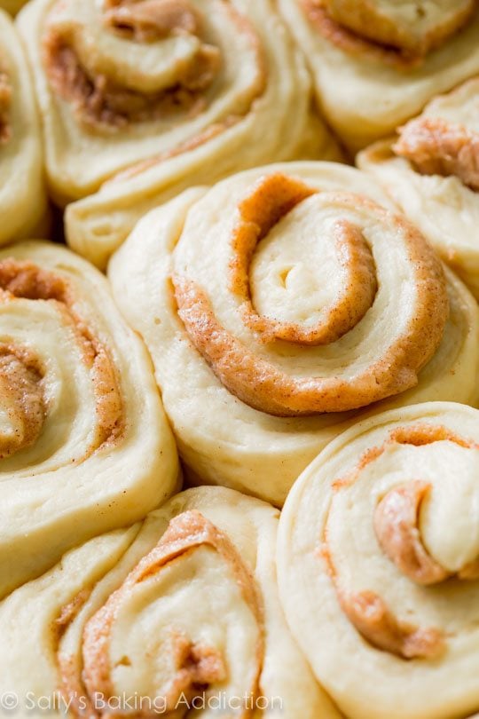 maple cinnamon rolls before baking