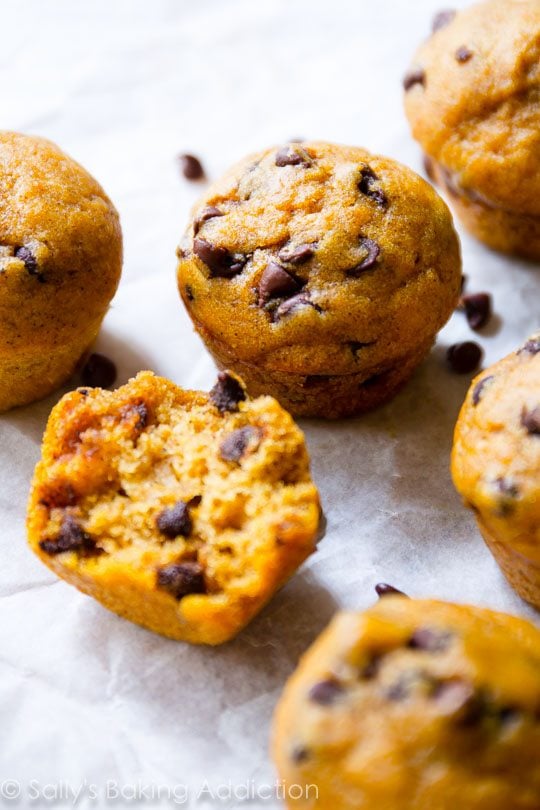 mini pumpkin chocolate chip muffins