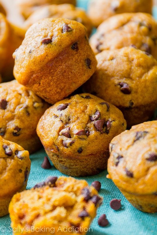 mini pumpkin chocolate chip muffins