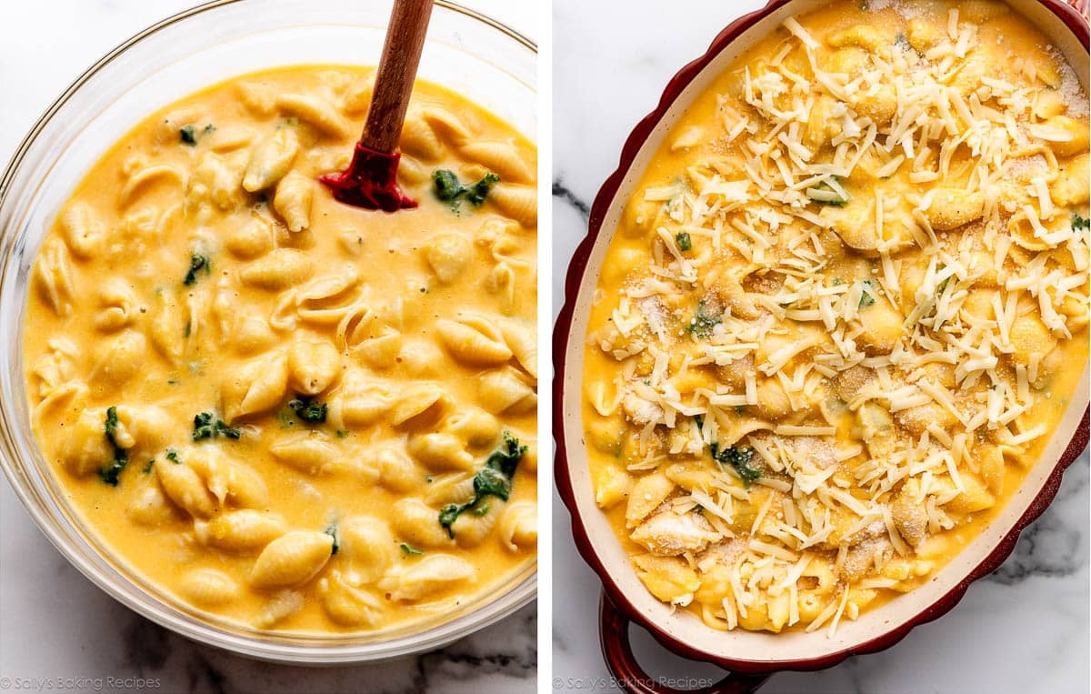 shell pasta mixed with butternut squash cheese sauce in bowl and shown again in large baking dish.