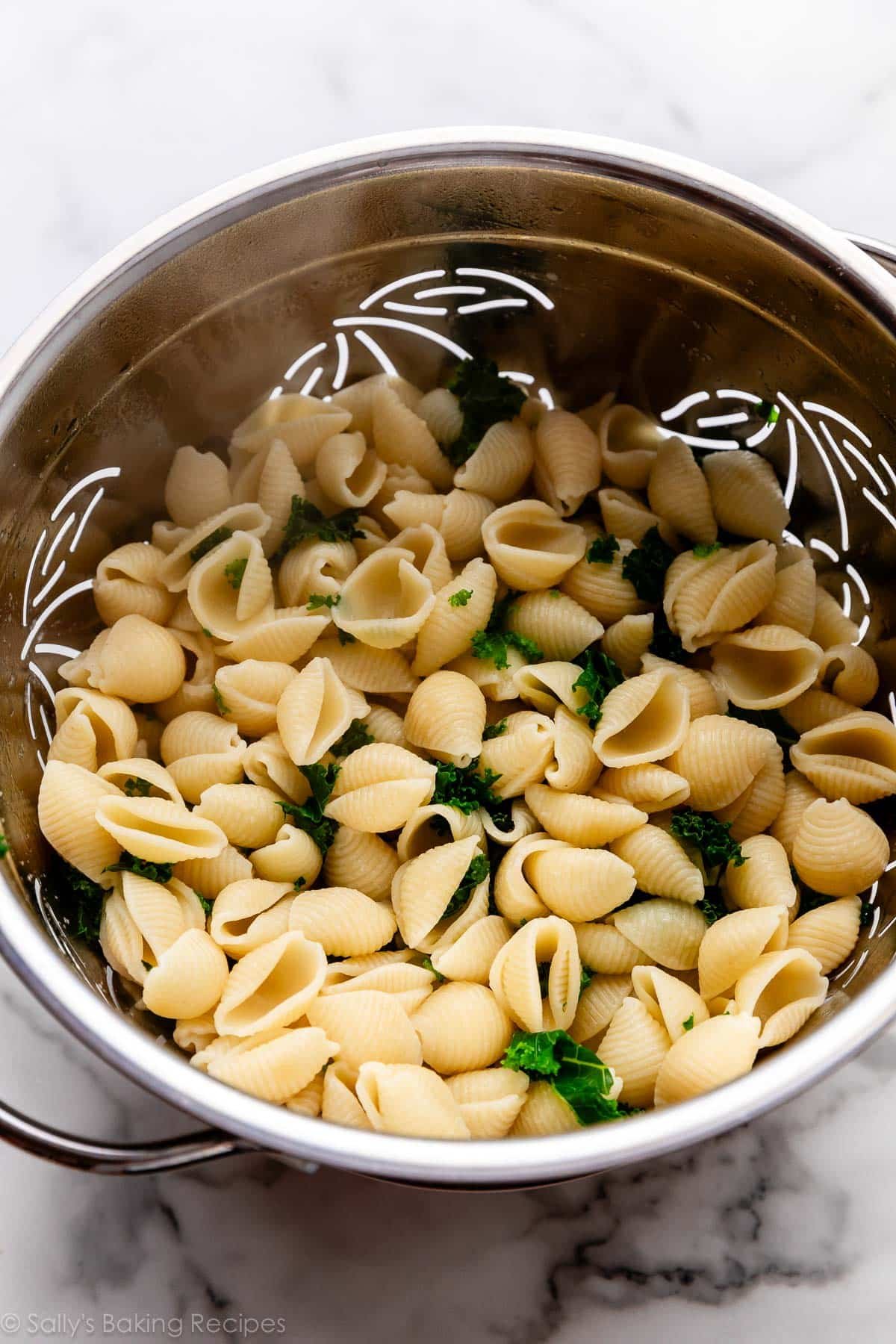 shell pasta and kale in colander.