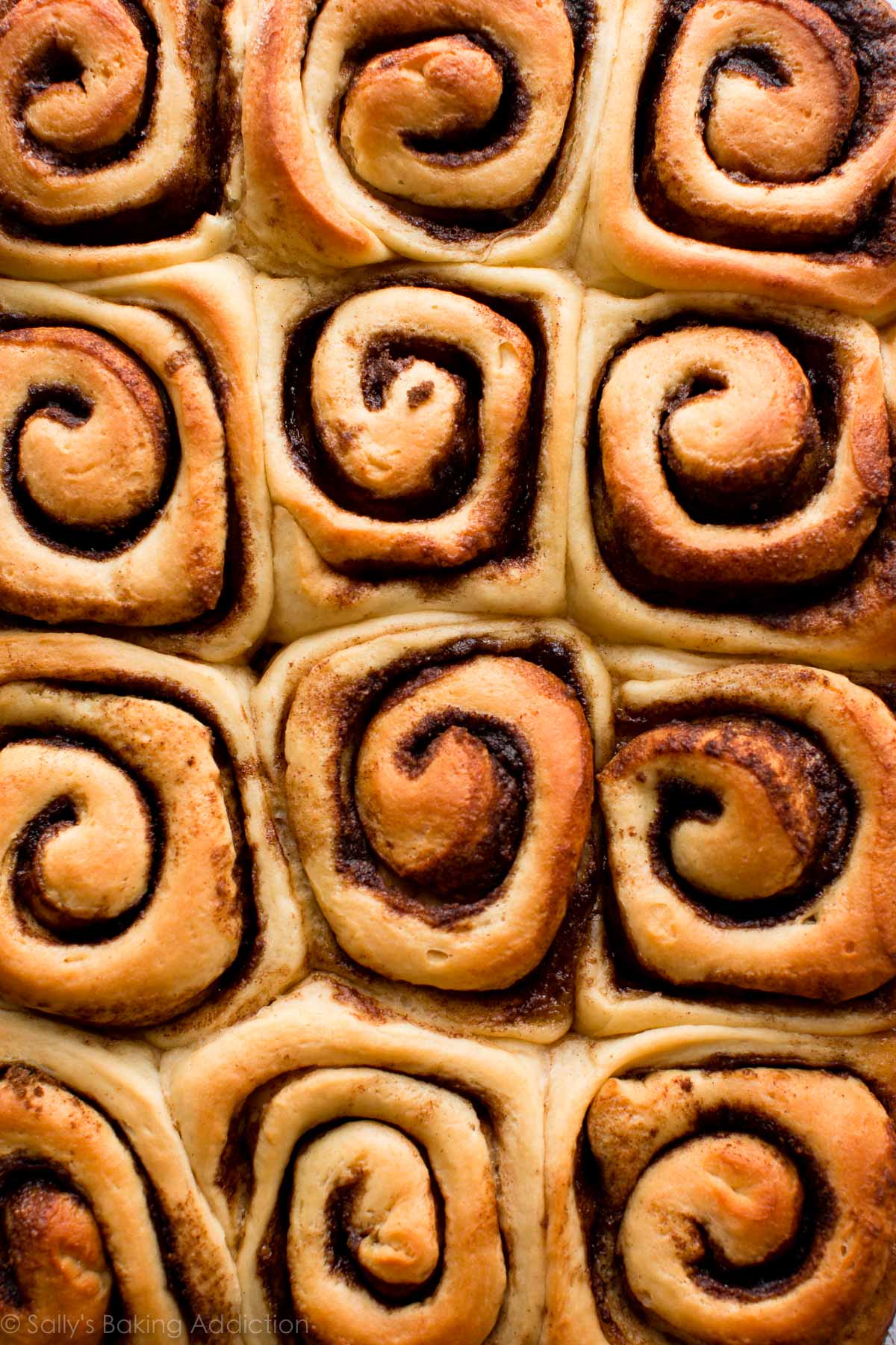 overhead image of maple pecan sticky buns after baking