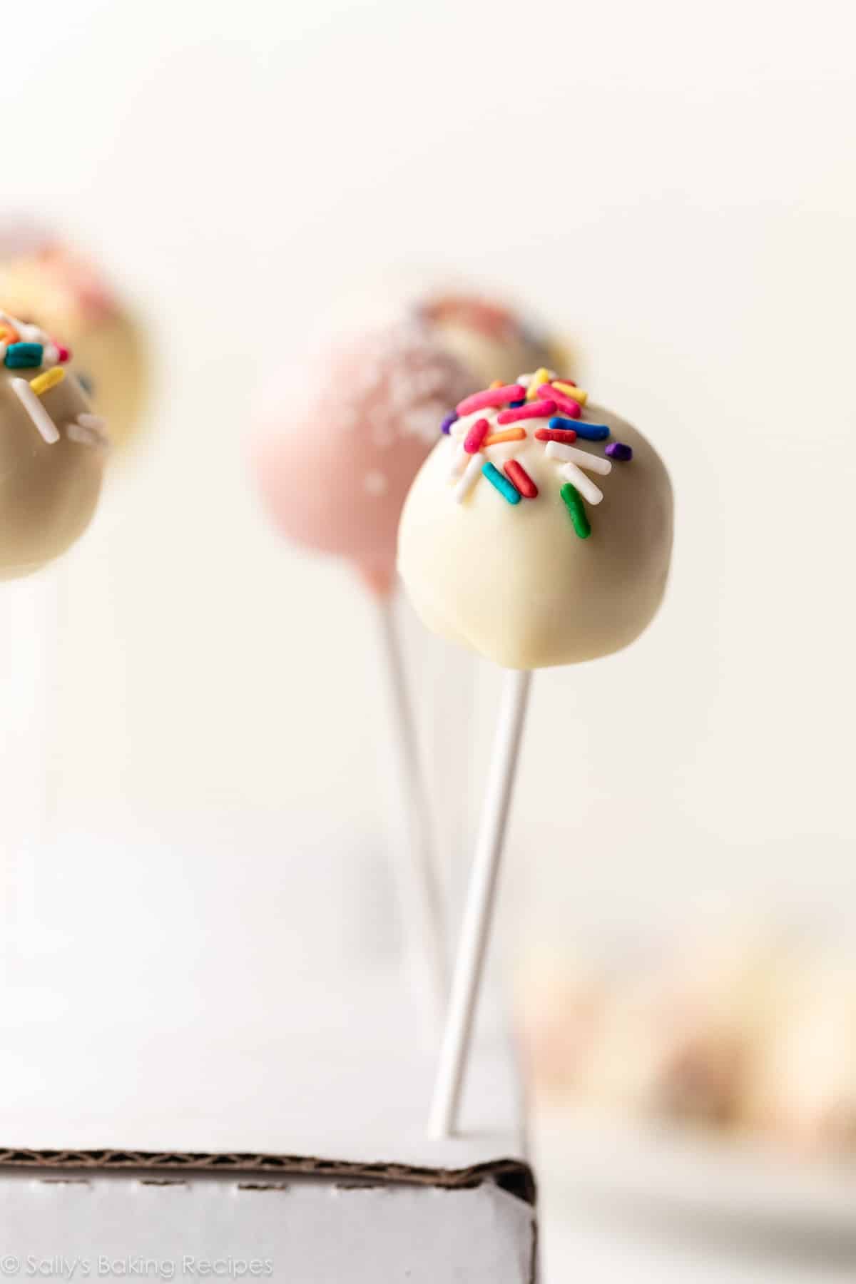 vanilla cake pop with rainbow sprinkles standing upright on white box.