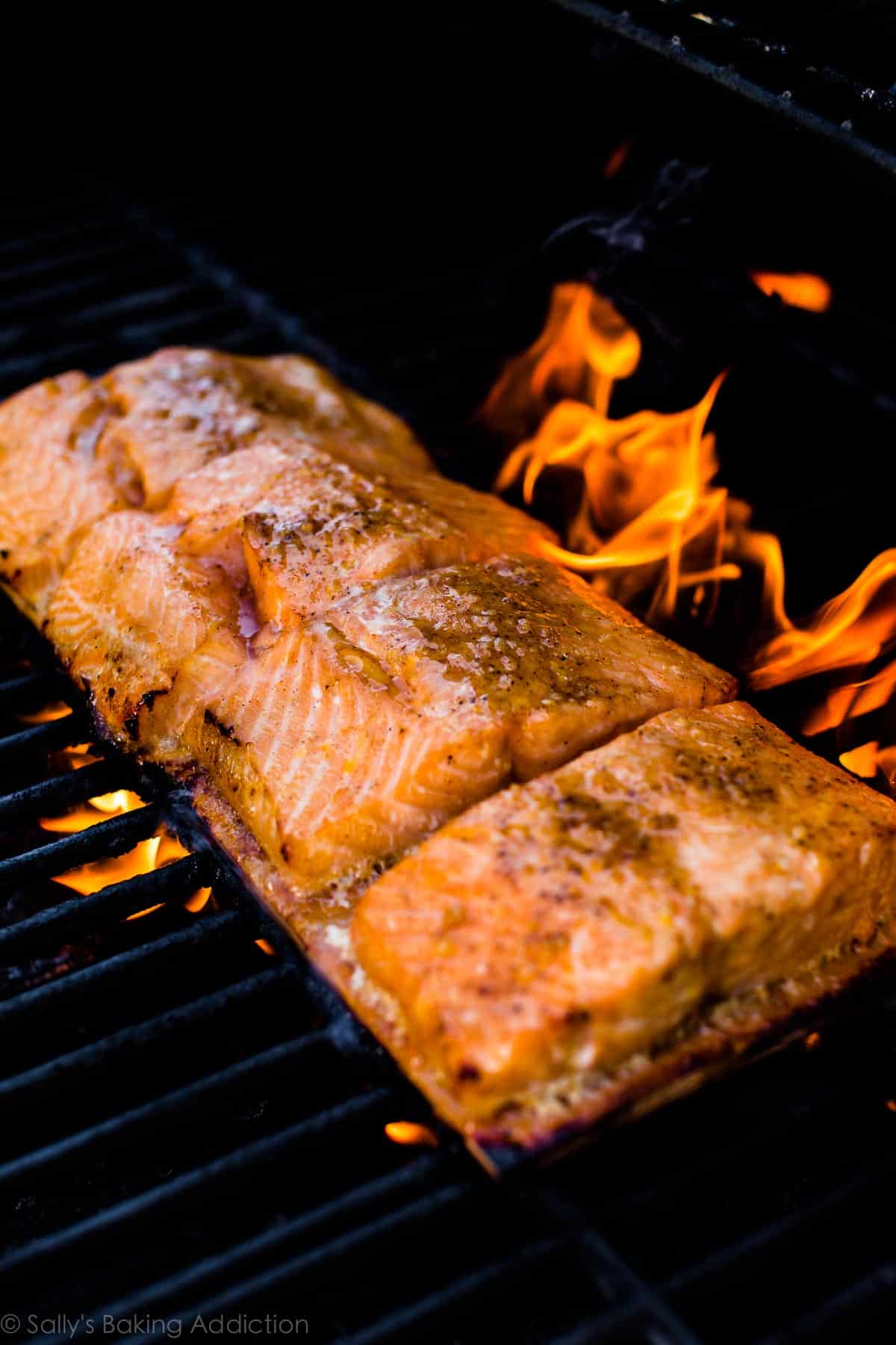 salmon on the grill