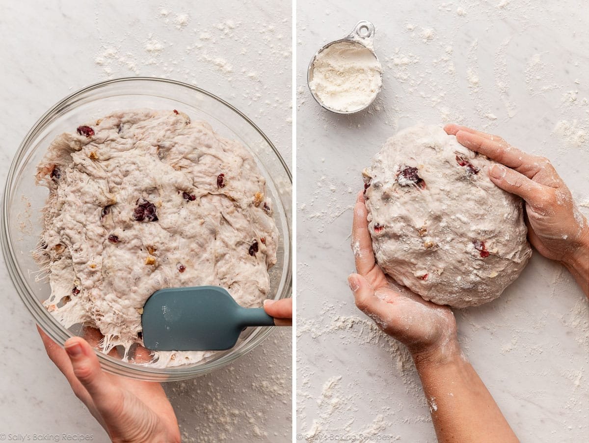 hands shaping cranberry walnut bread dough.