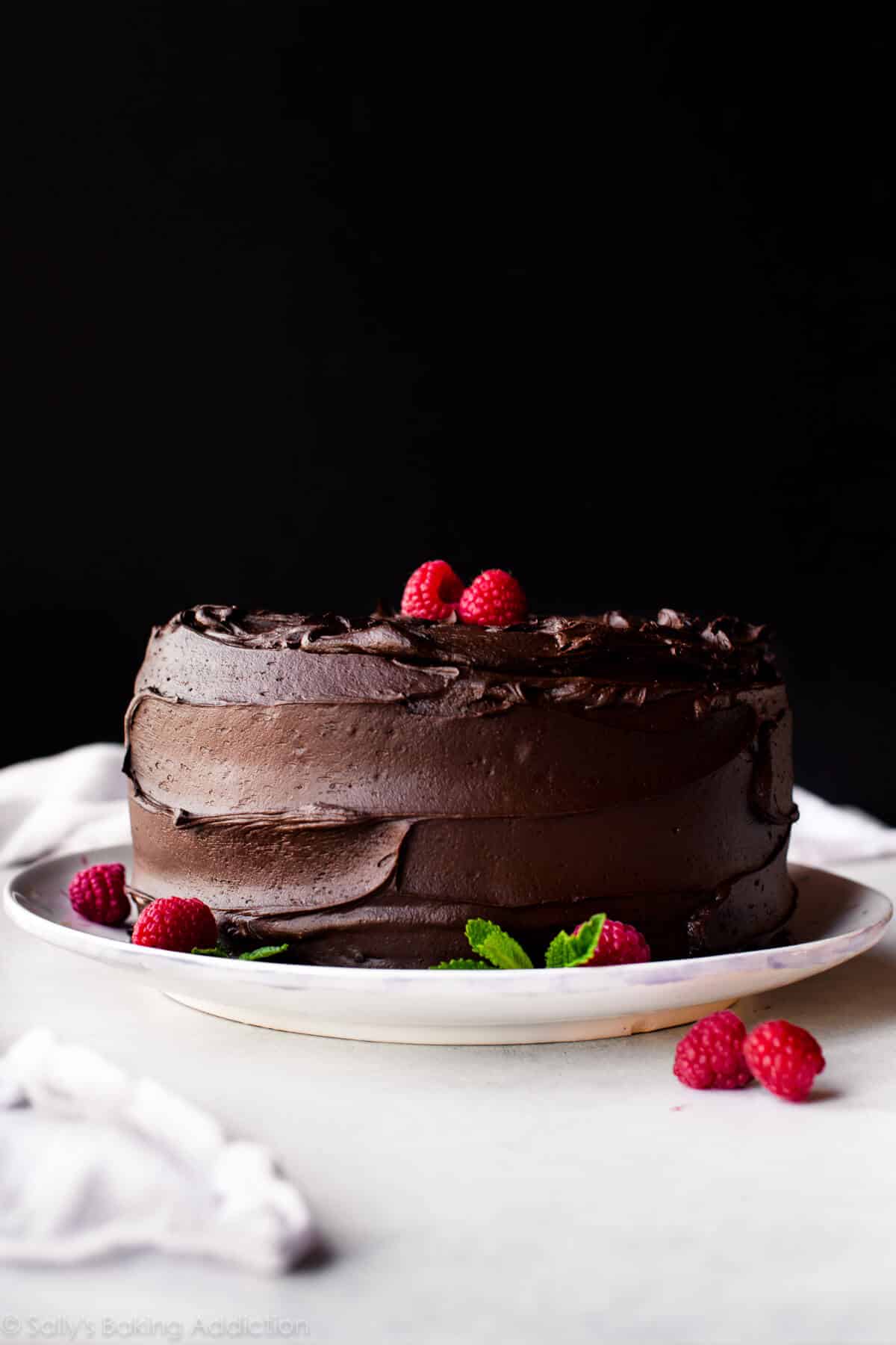 tuxedo cake on a white plate