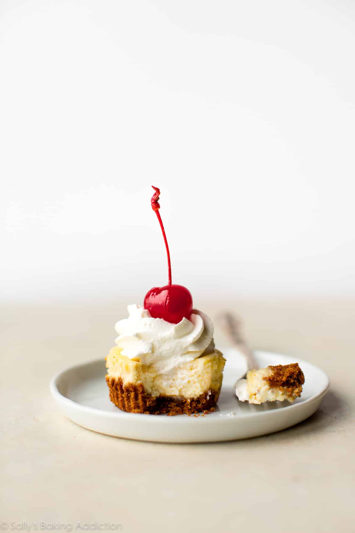 mini cheesecake on a white plate