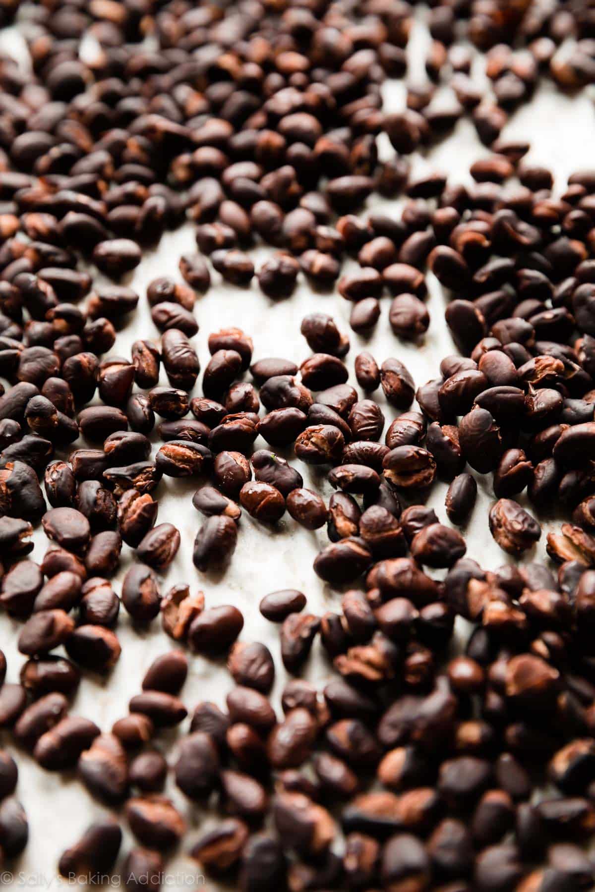 drying black beans on a baking sheet