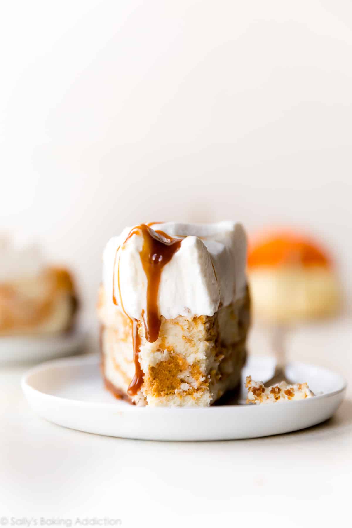 slice of pumpkin swirl cheesecake on a white plate