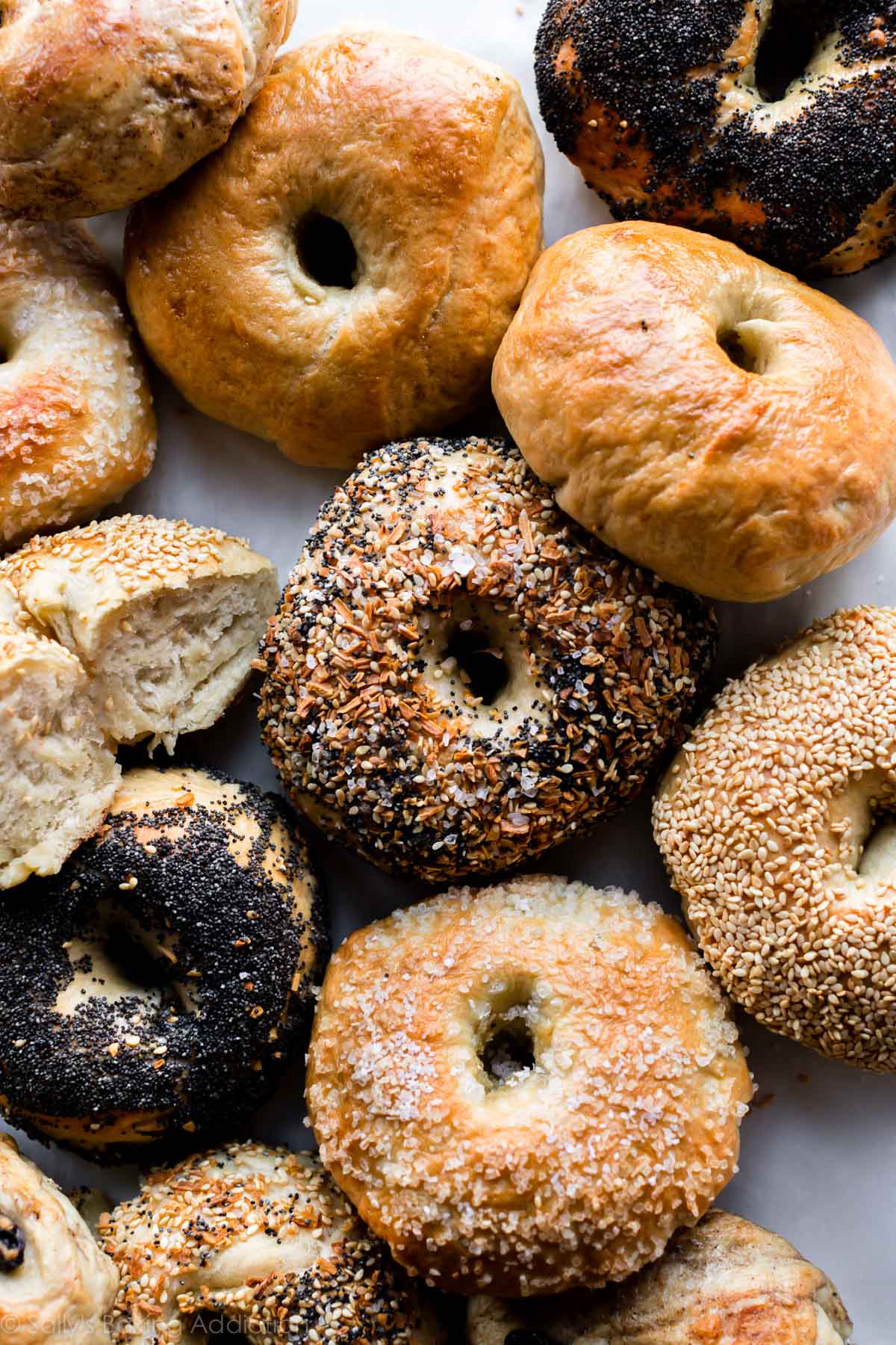 overhead image of a variety of bagels