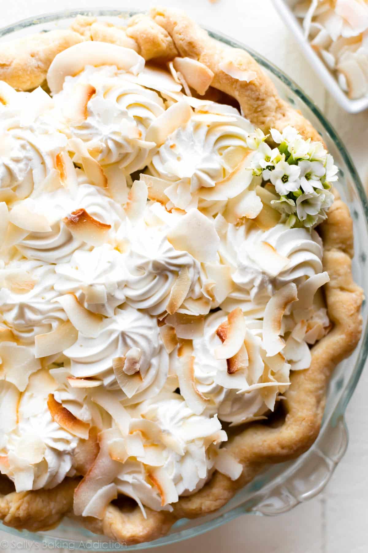 top of coconut cream pie zoomed in