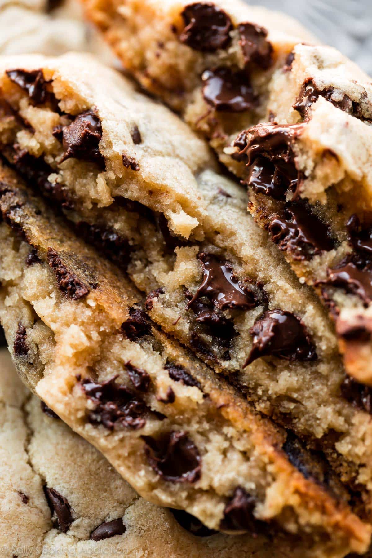 Close up picture of chocolate chip cookies