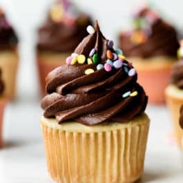 Yellow birthday cupcakes with chocolate frosting and sprinkles