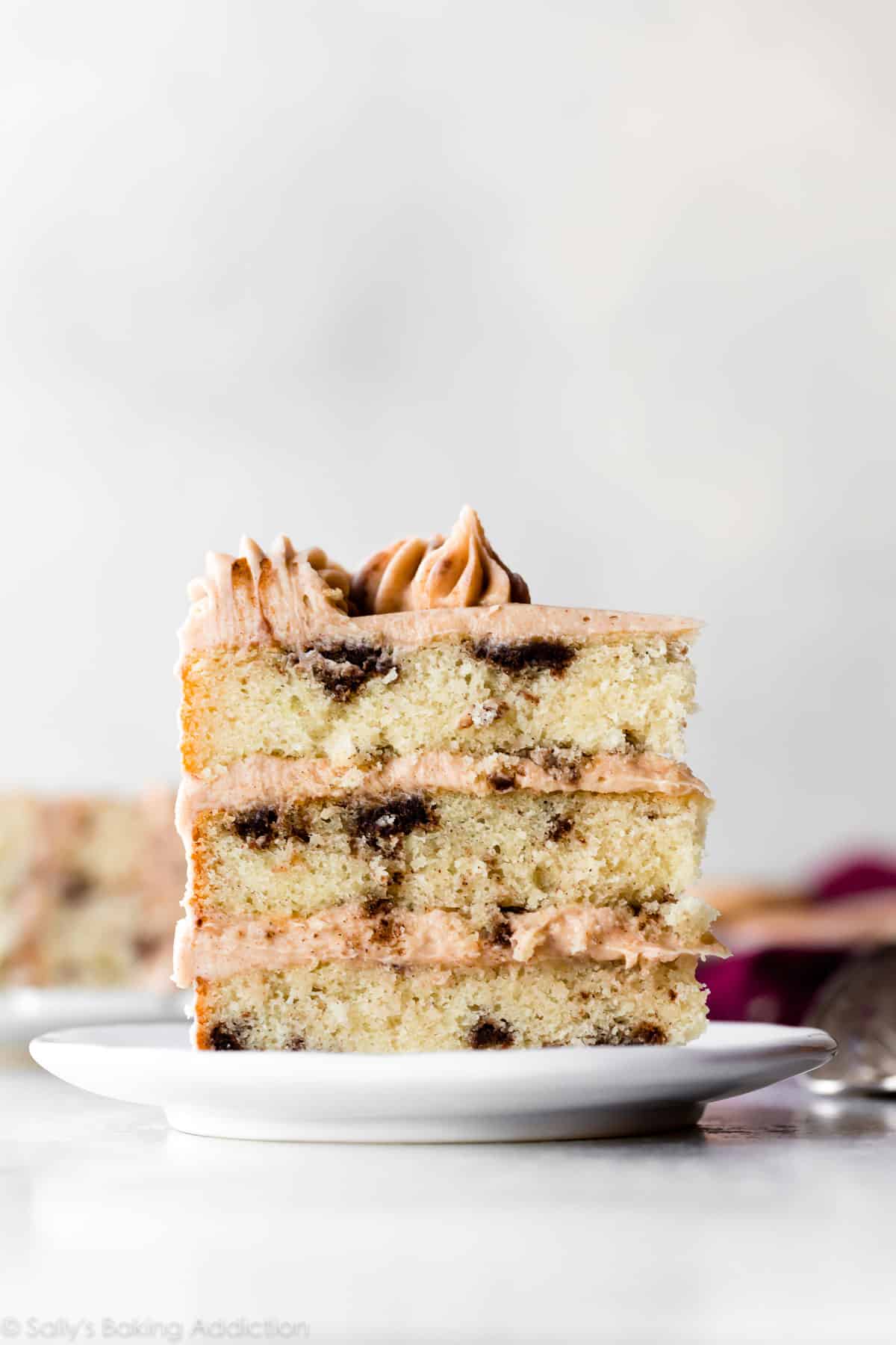 snickerdoodle cake slice on a white plate