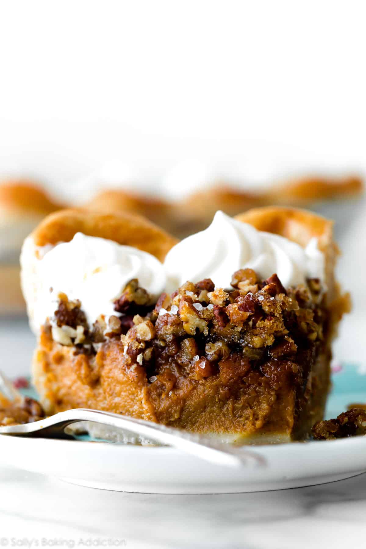 slice of praline pecan pumpkin pie on a plate