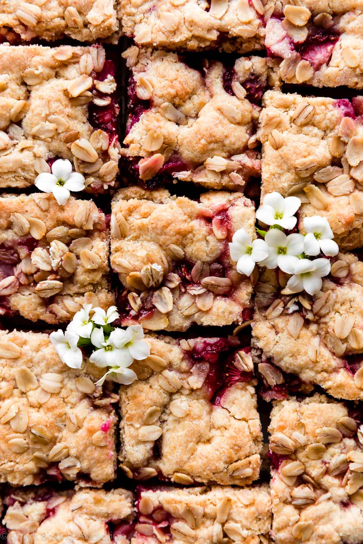 strawberry rhubarb bars