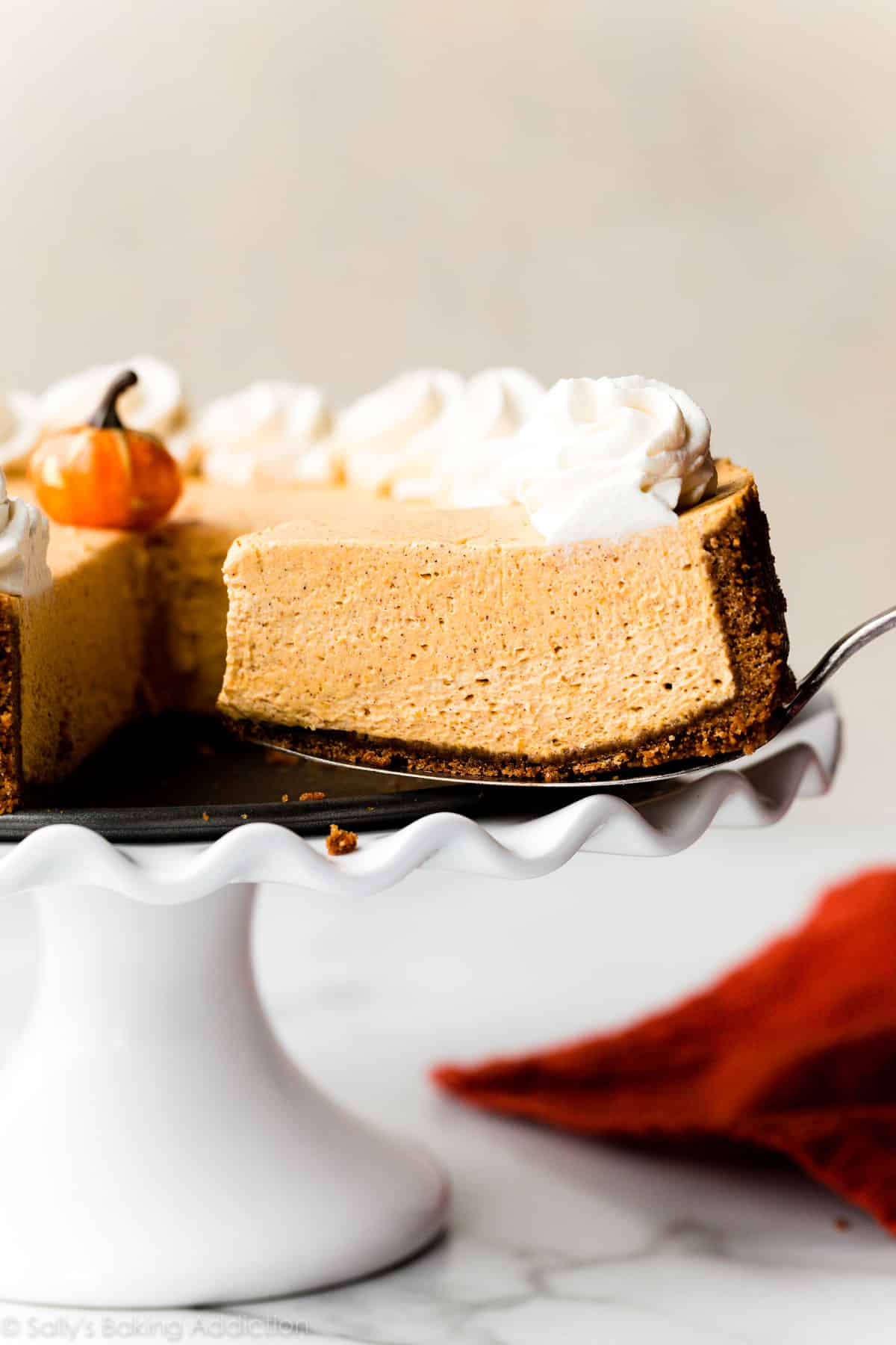 a slice of no bake pumpkin cheesecake