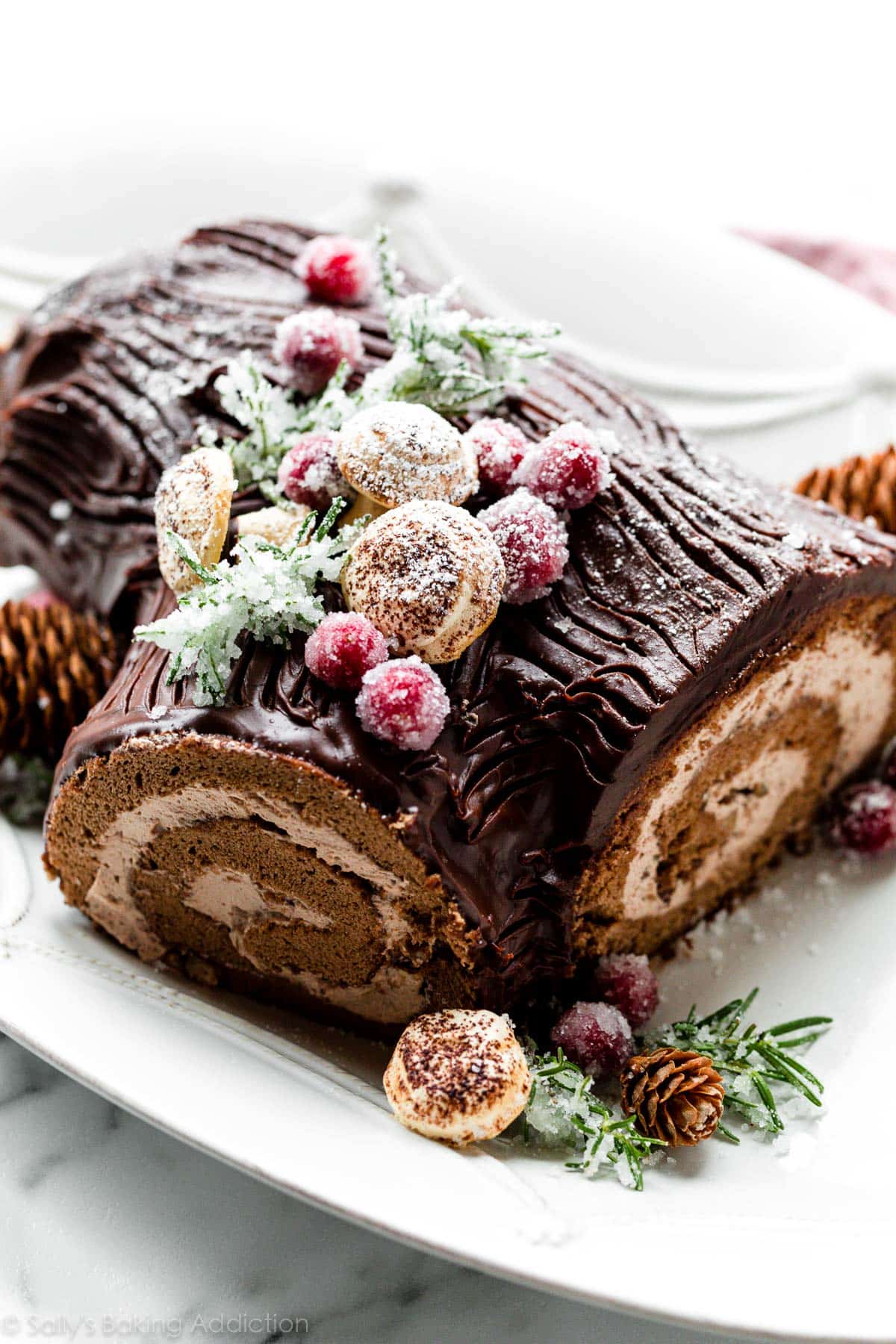 yule log (buche de noel) with chocolate ganache and meringue mushrooms