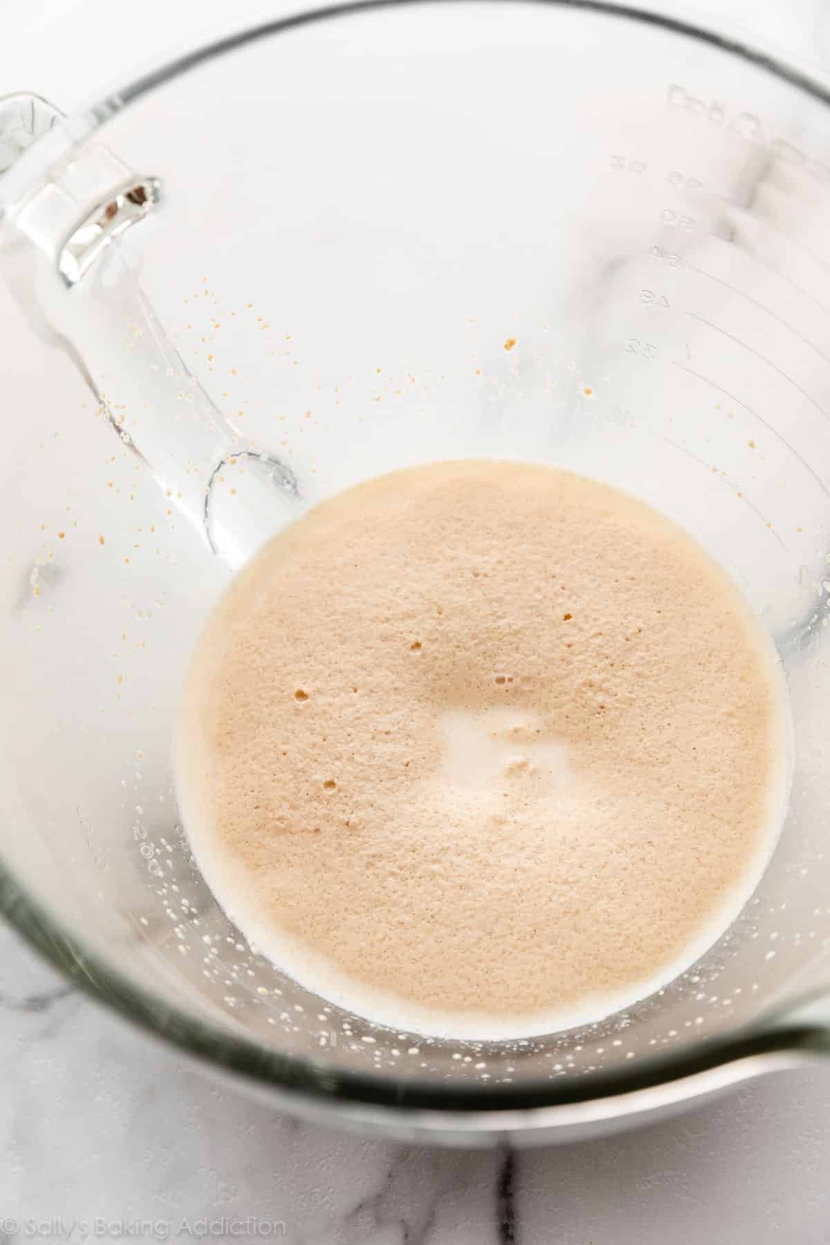 yeast proofing mixture in glass bowl