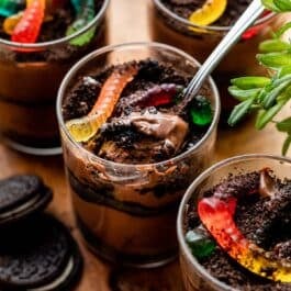 dirt pudding cups with crushed Oreo cookies and gummy worms on top.