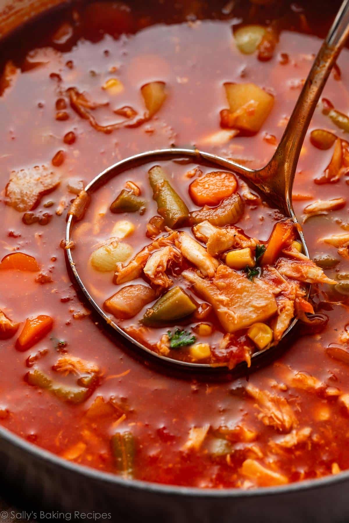 ladle of Maryland crab soup.