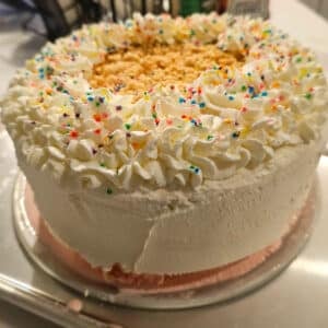 ice cream cake with whipped cream and sprinkles.